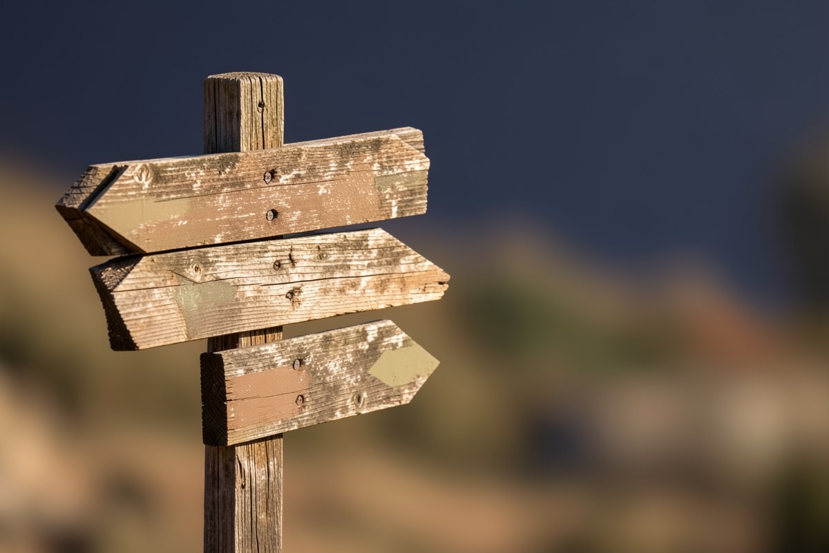A wooden signpost with multiple arrows pointing in different directions, representing choices and data privacy on the web.